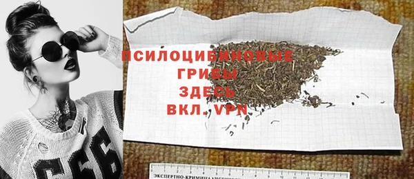PSILOCYBIN Заволжье