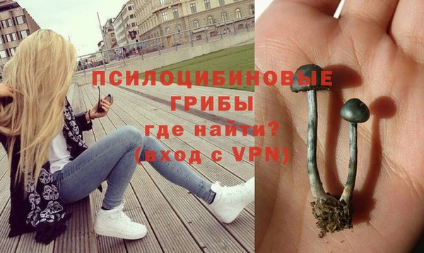 эйфоретик Балахна