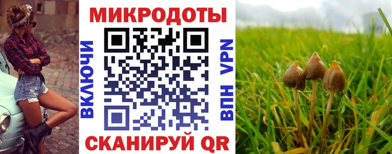 Галлюциногенные грибы GOLDEN TEACHER  OMG ссылка  Калининец 